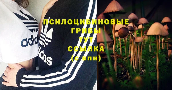 мескалин Вязьма