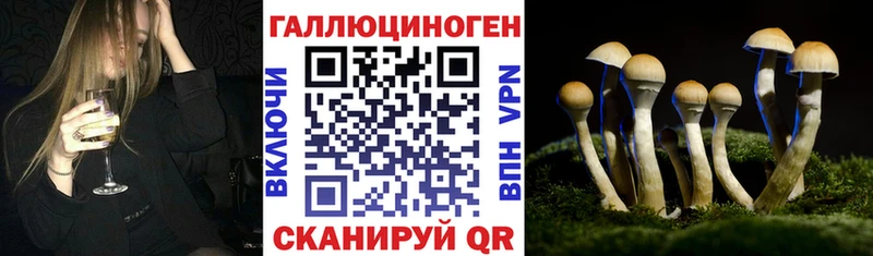 Галлюциногенные грибы GOLDEN TEACHER  Вязьма 