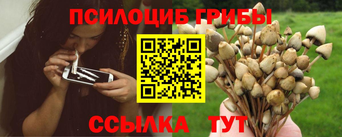 Галлюциногенные грибы Magic Shrooms Вязьма